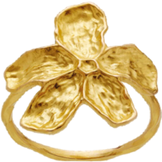 Fraisa Ring Maanesten - Smykker & accessories i dansk design - 49