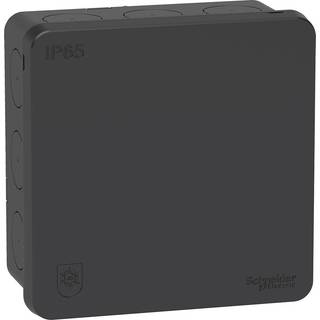 Schneider Electric Mureva forgreningsdåse IP65, antracit