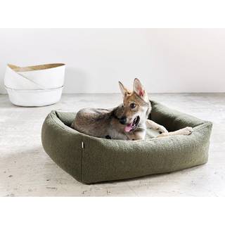Bouclé-hundeseng Teddy, i forskellige størrelser