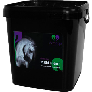 Amequ MSM Flex+ - 2 kg