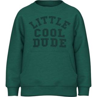 Name It Antique Green Sweatshirt