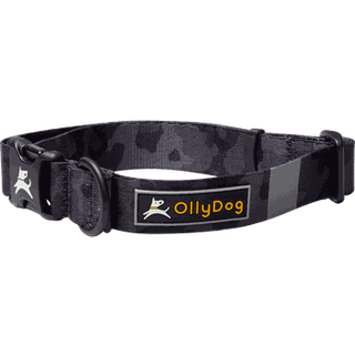 OllyDog Flagstaff Collar  Dream Camo, Small