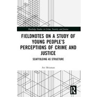 Fieldnotes on a Study of Young People’s Perceptions of Crime and Justice