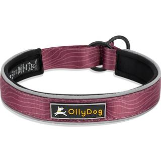 OllyDog Martingale Reflective Comfort Collar Rosewood, S