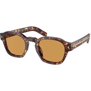 Prada PR A16SF Asian Fit 14O60F 53 Solbriller Mænd Tortoiseshell - Magma Tortoise - 53mm