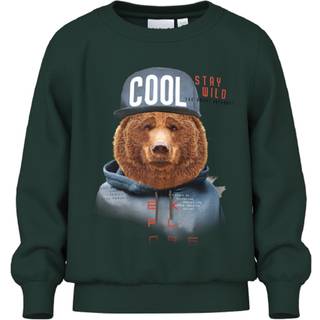 NAME IT Sweatshirt Labear Pine Grove