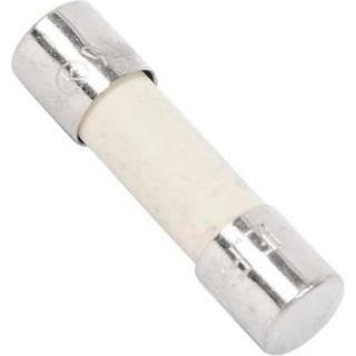 Electrolux 8A Mikrobølgeovn, sikring 50287203009