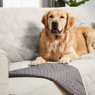 Gorilla Grip 100 % vandtt hundetppe, kledyrsvenligt sofakast Essentielt til sm kledyr Hunde Katte Rive- og skridsikkert lkagesikkert sofapu