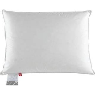 Ringsted Dun - Klodshans - 3-kammer pude - Mellem - 50x70cm