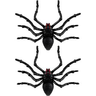 Schwarze Riesen Tarantel 2 St. 14cm