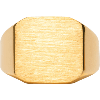 IX Octagon Signet Ring
