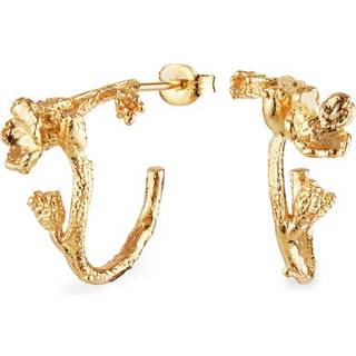 Flora Danica Forglemmigej øreringe i guldbelagt sølv