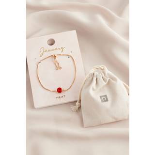 Next Birthstone Pully armbånd