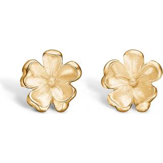 Blossom små forgyldte blomster ørestikker