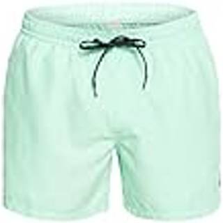 Quiksilver Everyday Volley 15 Boardshorts - M - beach glass