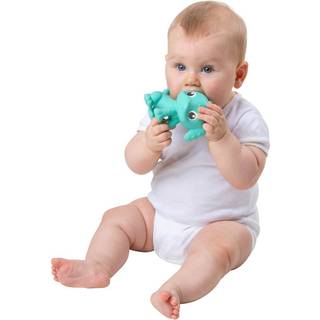 Playgro Eco Play Natural Rubber Pooky Puppy - turkis (10188823)