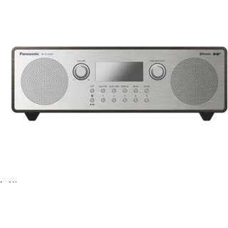 Panasonic RF-D100BTEGT DAM-FM Radio
