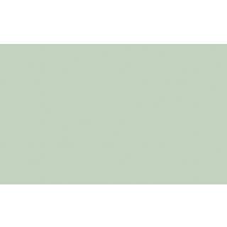 Salix™ - Absolute Matt Emulsion - 10 L