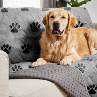 GORILLA GRIP Vandtt hundesengebetrk Kledyrstppe til mbel Sofa Sofakasse Bilsofa Kast Essentielt til katte og hunde Rive- og skridsikkert lk