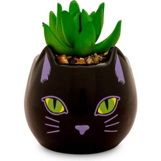 Disney Hocus Pocus binx er min Boo Ceramic Planter med kunstig saftig