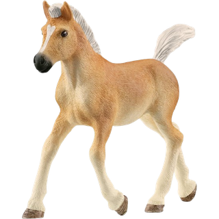 Schleich Haflinger foal - Føl [Levering: 1-2 dage]