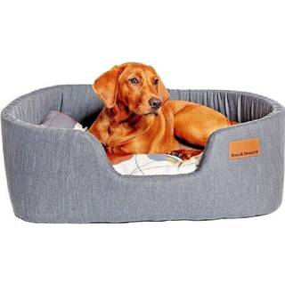 Colour Block Steel Lux Slumber Bed - Dark Grey - 61 cm