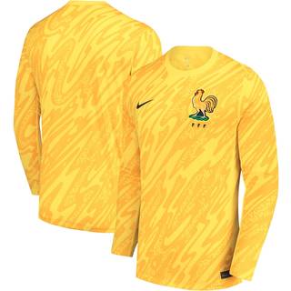 FFF 2024/25 Stadium Goalkeeper Nike Dri-FIT Replica-fodboldtrøje til mænd (kvindehold) - gul - XL