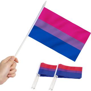 ANLEY BISEXUEL PRIDE MINI FLAG 12 PACK - H?ndholdt sm? miniature BI Pride Rainbow Flag p? pind - Fade Resistant & Vivid Colours - 5x8 tommer med