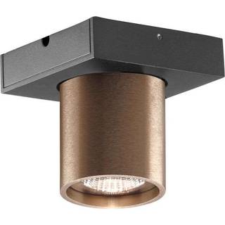 Focus 1 3000K Rose Gold