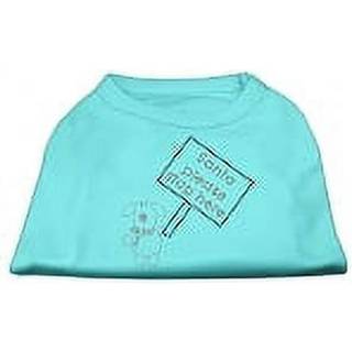 Santa Stop Here Shirts Aqua XS