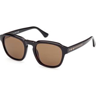 Web Mand WE0370 56J Solbriller Acetat Havana Brun Rund Normal