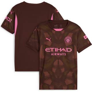 Puma Manchester City 24/25 Goalkeeper Short Sleeve Jersey Youth, Brown, Size 5-6Y, Clothing - Wild Willow - 5-6Y
