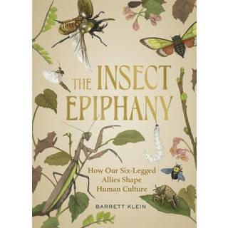 The Insect Epiphany
