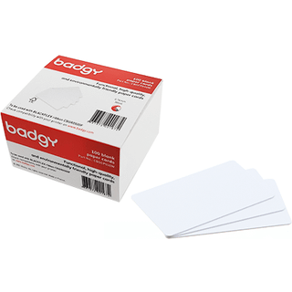 Evolis High Trust - cards - 100 card(s) - 85.6 x 54 mm