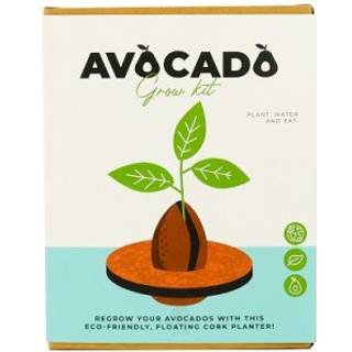 Dyrk din egen avocadoplante