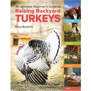 An Absolute Beginner's Guide to Raising Backyard Turkeys