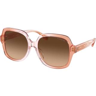 Coach HC8395F CR962 Asian Fit 581274 56 Solbriller Kvinder Lyserød - Dusty Rose Gradient - 56mm