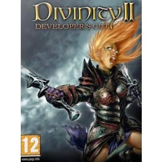 Divinity II: Developer's Cut Steam Gift EUROPE