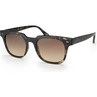 Bloc Cari FF152 51 Solbriller Mænd - Matte Tortoise - 51mm