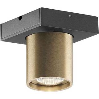 Focus Mini 1 3000K Messing