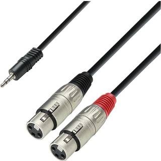 Adam Hall Cables K3 YWFF 0100 - Audio Cable 3.5 mm Jack stereo to 2 x XLR female, 1 m