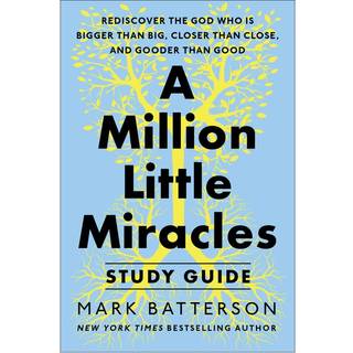 A Million Little Miracles Study Guide