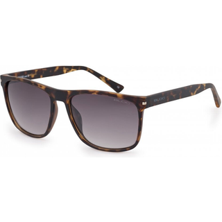 Bloc Luca Polarized FP952 Standard Solbriller Mænd Tortoiseshell - Matte Tortoise - Standard