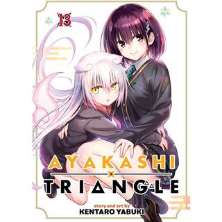 Ayakashi Triangle Vol. 13