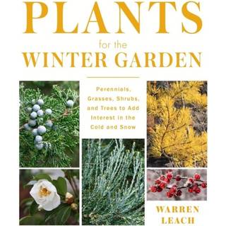 Plants for the Winter Garden