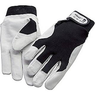 PINGO Handske Str. 6