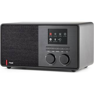Pinell Supersound 301 digitalradio