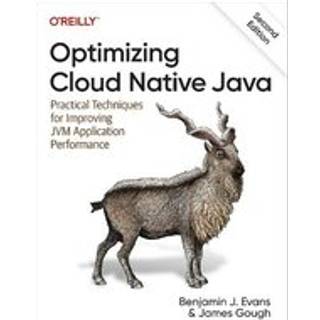 Optimizing Cloud Native Java