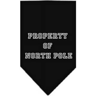 Egendom till North Pole Screen Print Bandana Black Small