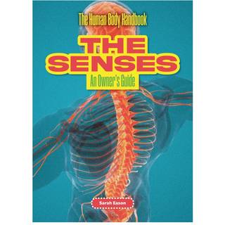 The Senses